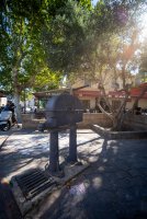 Fontvieille - Terrain - Mas Provence