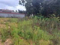Saint-Victor-des-Oules - Terrain - Mas Provence