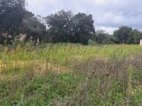 Saint-Victor-des-Oules - Terrain - Mas Provence