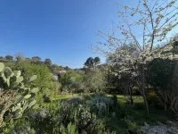 Biot - Terrain - Mas Provence