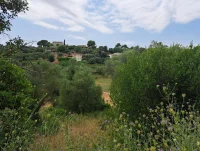 Grasse - Terrain - Mas Provence