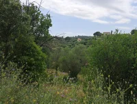 Grasse - Terrain - Mas Provence