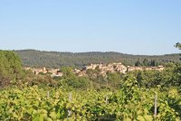 Carces - Terrain - Mas Provence