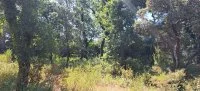 Carpentras - Terrain - Esprit Mas