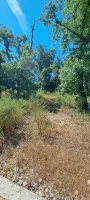 Carpentras - Terrain - Esprit Mas