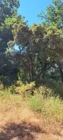 Carpentras - Terrain - Esprit Mas
