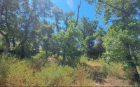Carpentras - Terrain - Esprit Mas