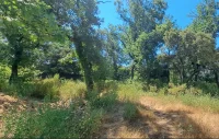 Carpentras - Terrain - Esprit Mas
