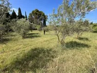 Aubignan - Terrain - Groupe Mas Provence