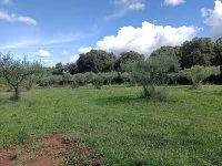 Saint-Siffret - Terrain - Groupe Mas Provence