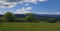 Saint-Saturnin-L&egrave;s-Apt - Terrain - Mas Provence