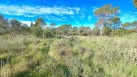 Bagnols-en-For&ecirc;t - Terrain - Esprit Mas