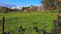 Murles - Terrain - Mas Provence