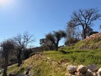 Roquefort-les-Pins - Terrain - Mas Provence