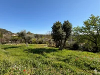 Roquefort-les-Pins - Terrain - Mas Provence