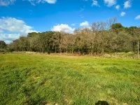 V&eacute;n&eacute;jan - Terrain - Groupe Mas Provence