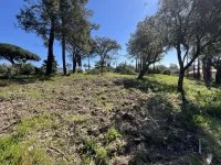 Grimaud - Terrain - Mas Provence