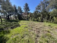 Grimaud - Terrain - Mas Provence