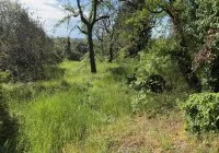 La Gaude - Terrain - Groupe Mas Provence