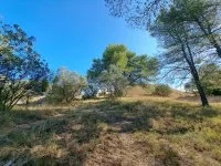 Aix-en-Provence - Terrain - Mas Provence