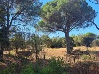 Fr&eacute;jus - Terrain - Mas Provence