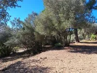 Fayence - Terrain - Mas Provence