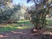 Saint-Rapha&euml;l - Terrain - Mas Provence