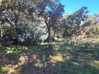 Saint-Rapha&euml;l - Terrain - Mas Provence