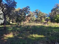 Saint-Rapha&euml;l - Terrain - Mas Provence