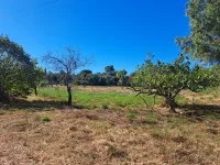 Fr&eacute;jus - Terrain - Mas Provence