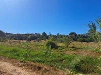 Fr&eacute;jus - Terrain - Mas Provence