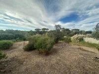 Fr&eacute;jus - Terrain - Mas Provence