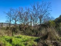 Draguignan - Terrain - Mas Provence