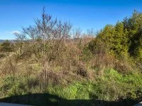 Draguignan - Terrain - Mas Provence