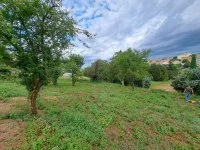 Valensole - Terrain - Mas Provence