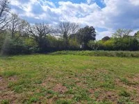 Puget sur Argens - Terrain - Mas Provence