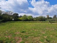 Puget sur Argens - Terrain - Mas Provence
