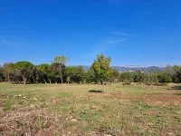 Tourrettes - Terrain - Mas Provence