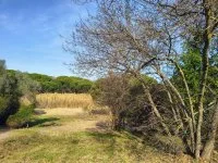 Fr&eacute;jus - Terrain - Mas Provence