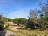 Fr&eacute;jus - Terrain - Mas Provence