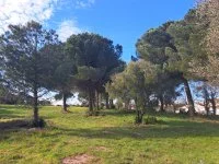 Le Muy - Terrain - Mas Provence