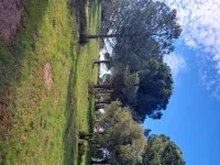 Le Muy - Terrain - Mas Provence