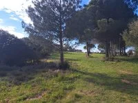 Le Muy - Terrain - Mas Provence