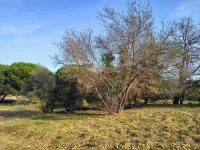 Fr&eacute;jus - Terrain - Mas Provence