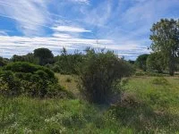 Puget-sur-Argens - Terrain - Mas Provence