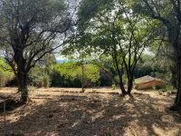 Grasse - Terrain - Mas Provence