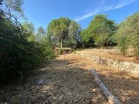 Grasse - Terrain - Mas Provence