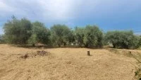 Saint-Laurent-du-Var - Terrain - Mas Provence