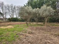 Saint-Cannat - Terrain - Mas Provence