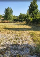 Caromb - Terrain - Groupe Mas Provence